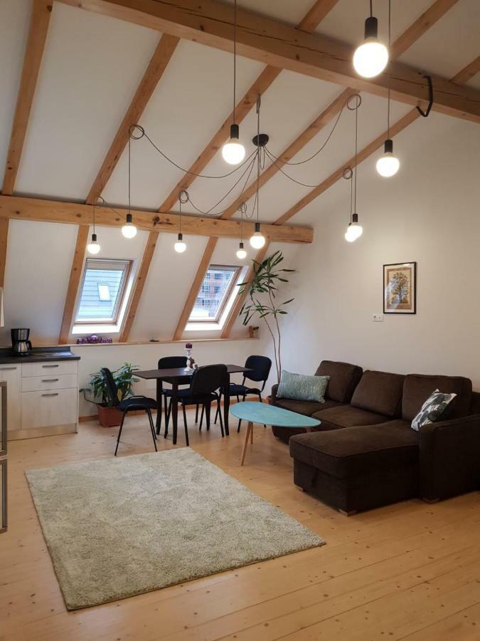 Appartement Leisure Apartmens Braşov Extérieur photo